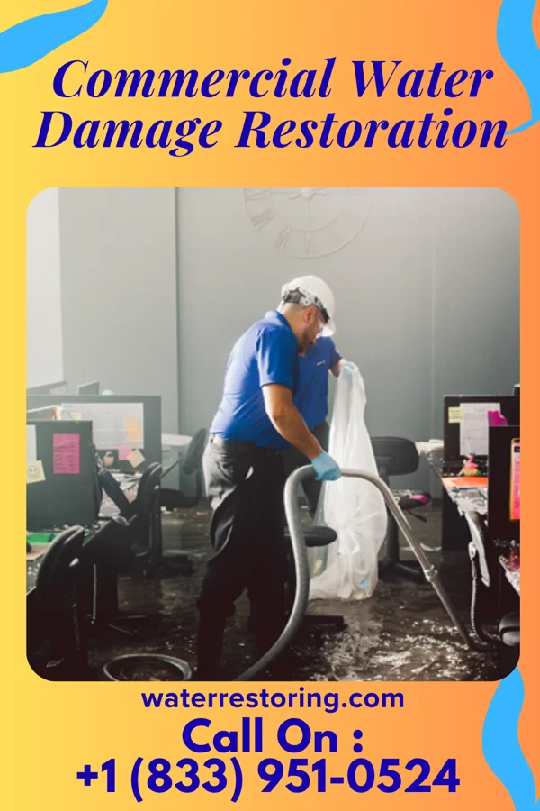 Commercial Water Damage Restoration in Nunn, CO